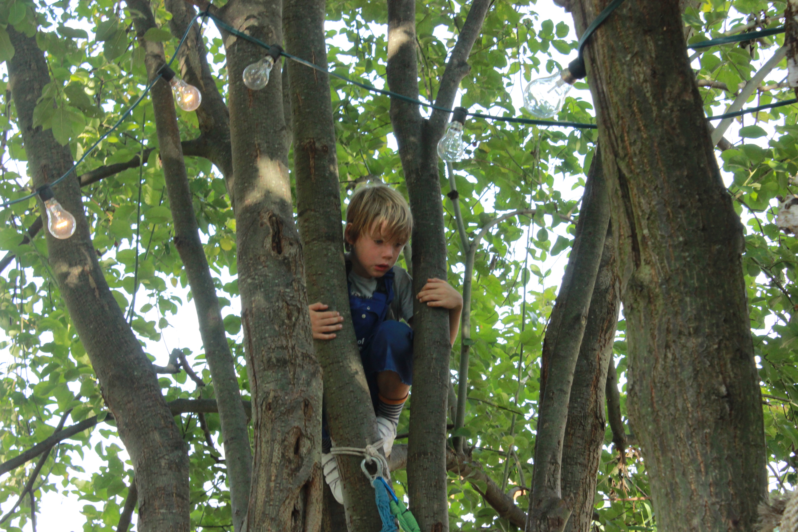 Zomerlichtkamp 8