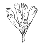 Afb 2