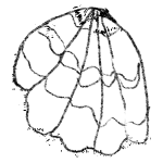 Afb 6